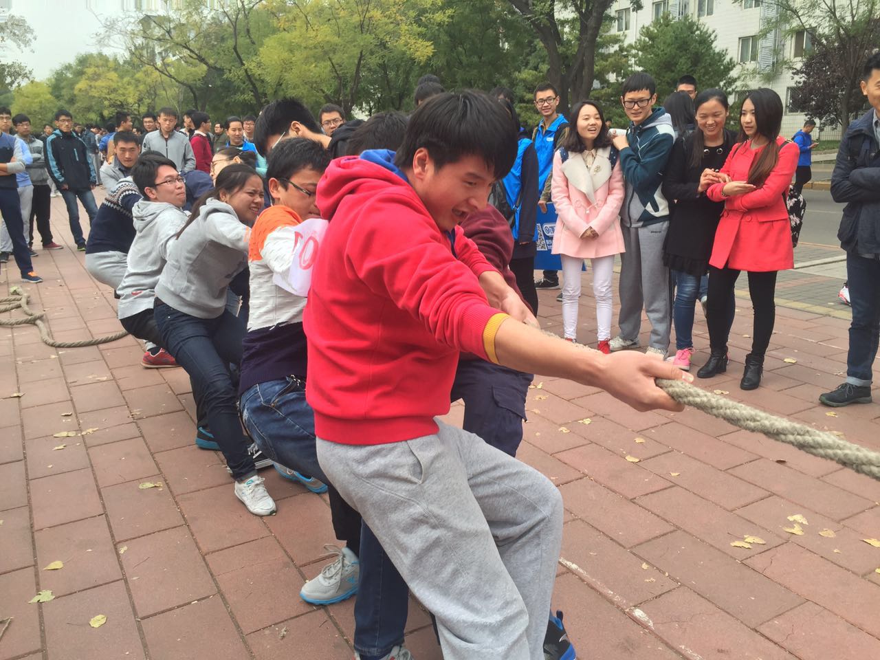 校运动会图片5.jpg 校运动会图片5.jpg